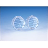 Clear Replacement Lenses (pair)
