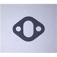 Coolant Rail Gasket