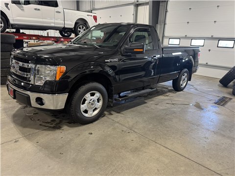 Ford F-150 New Nerf Steps