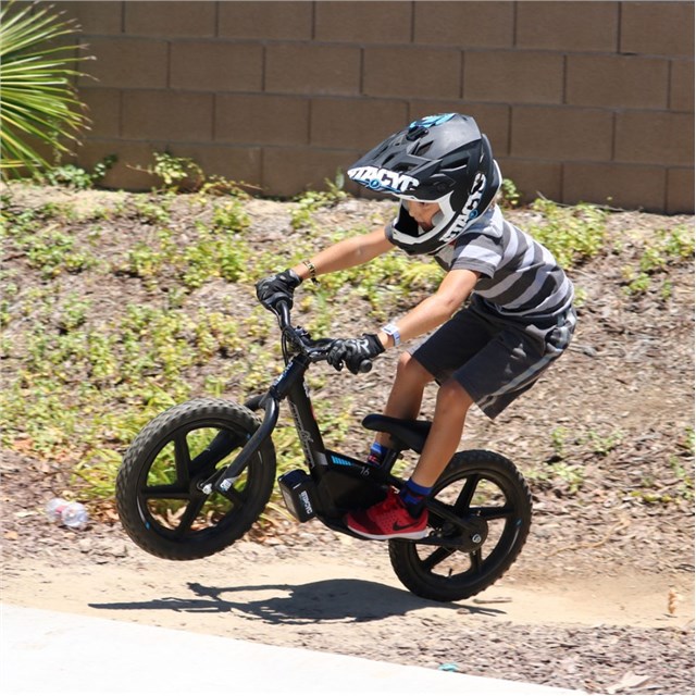 edrive bike
