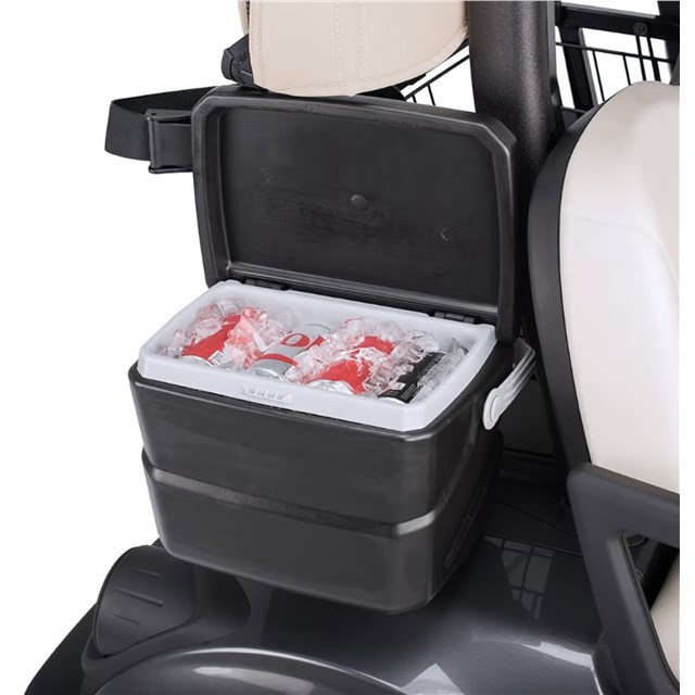 Golf cart best sale ice chest