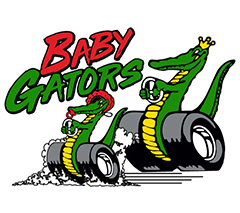 >Baby Gators