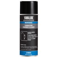 Combustion Chamber Cleaner